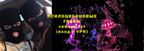 спиды Белокуриха