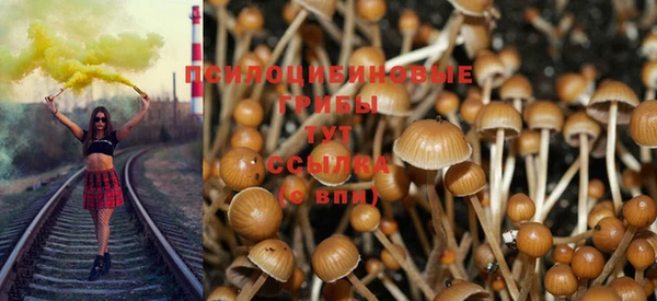 марки nbome Беломорск