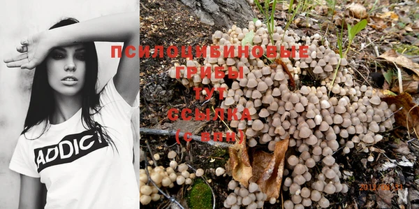спиды Белокуриха