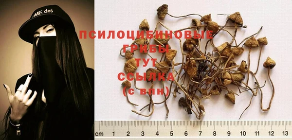 спиды Белокуриха